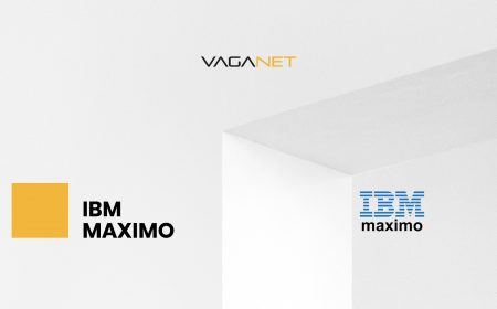 GMAO, IBM Maximo